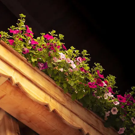 Koegele Bei Innsbruck Axamer Lizum 3* アクサムス